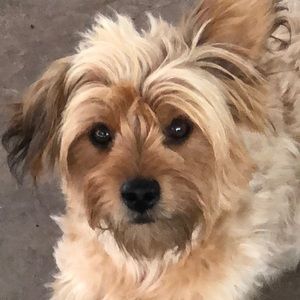 Meet your Posher, Vicky